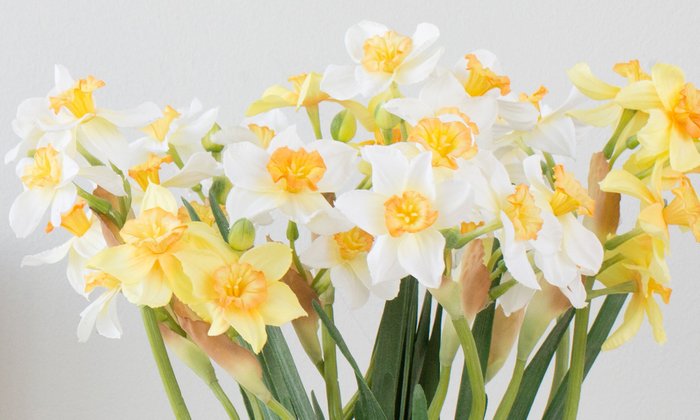 Композиция из искусственных цветов - Весенние нарциссы - лучшие Декоративные цветы в INMYROOM