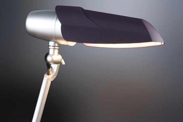 Настольная лампа Lilac с фиолетовым плафоном - лучшие Рабочие лампы в INMYROOM