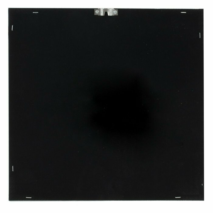Панно Листья 30х30 черно-белого цвета - лучшие Картины в INMYROOM