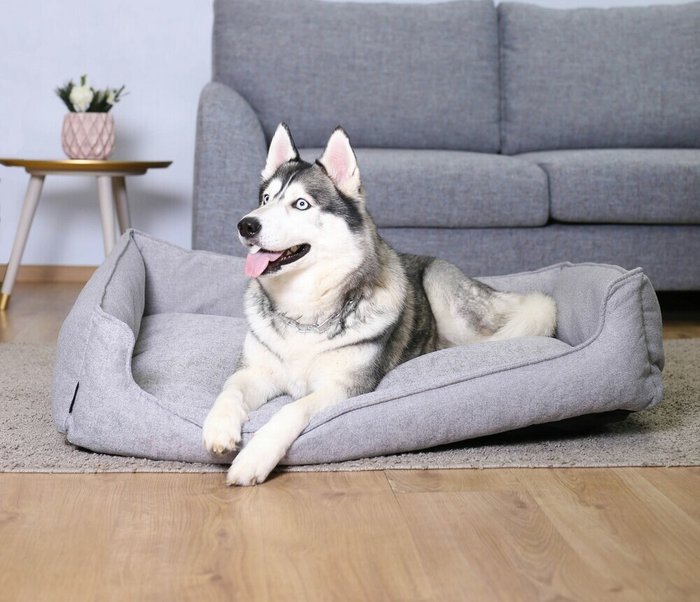 Лежанка прямоугольная для животных 90х60 серого цвета - лучшие Мебель для домашних питомцев в INMYROOM