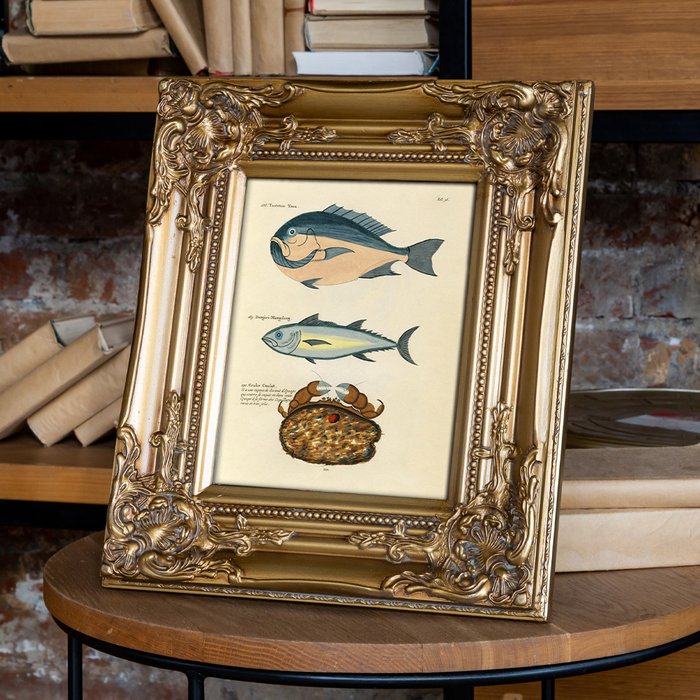 Картина Фантастика подводного мира версия 36 в раме Шелли - купить Картины по цене 5000.0