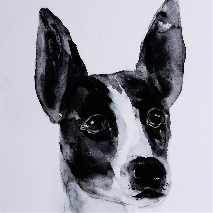 Принт Собака черно-белого цвета - купить Принты по цене 28830.0