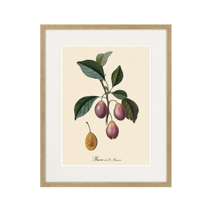 Копия старинной литографии Juicy fruit lithography №9 1870 г. - купить Картины по цене 3995.0
