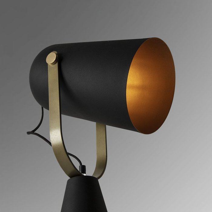 Напольный светильник Briand черного цвета - купить Торшеры по цене 20990.0