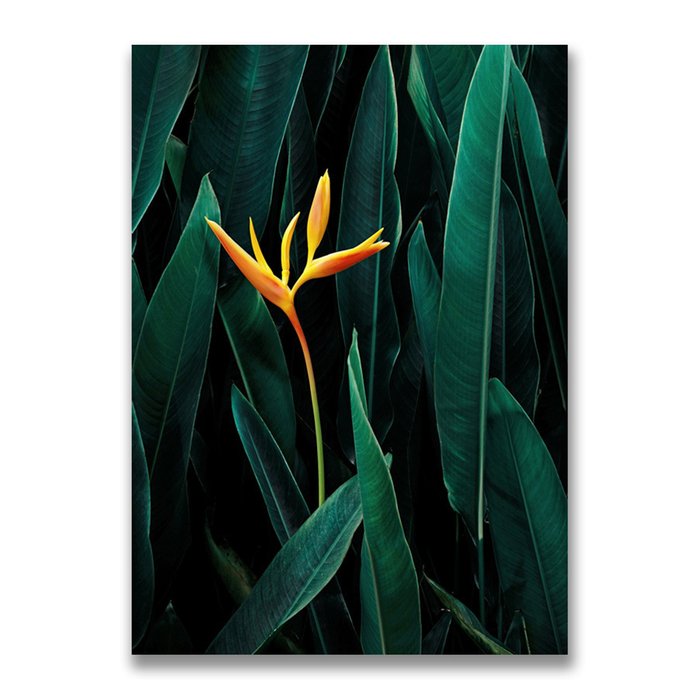 Картина на холсте Тропический цветок 50х70 см