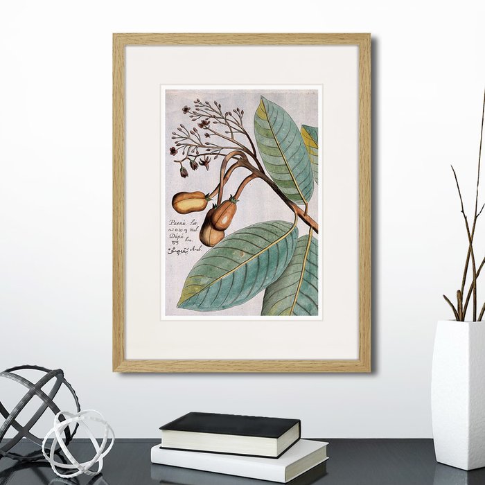 Набор из двух картин Exotic plants of the world №3 - купить Картины по цене 5990.0