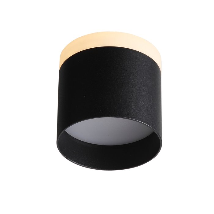  Светильник потолочный Panaggio черного цвета - лучшие Потолочные светильники в INMYROOM