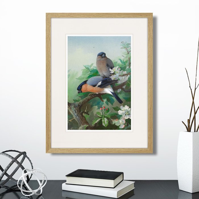 Набор из четырех картин Bullfinches в деревянной раме  - купить Картины по цене 11980.0