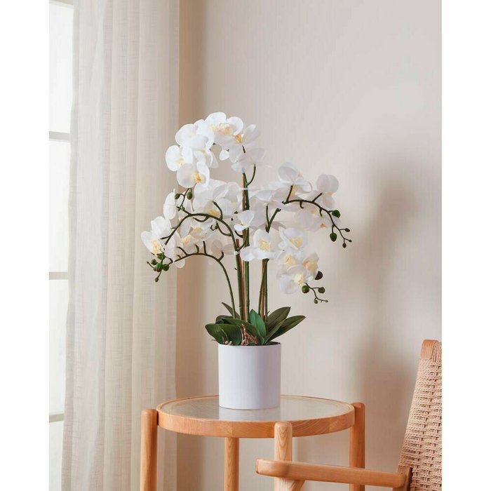 Искусственное растение Hyuga белого цвета - лучшие Декоративные цветы в INMYROOM
