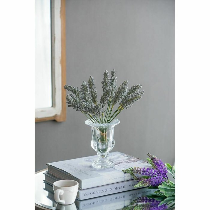 Декоративное растение Лаванда бело-серого цвета - лучшие Декоративные цветы в INMYROOM