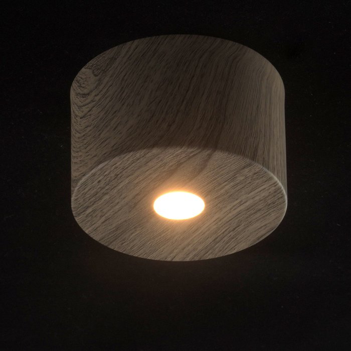 Потолочный светодиодный светильник Иланг цвета темного дерева - купить Потолочные светильники по цене 3110.0