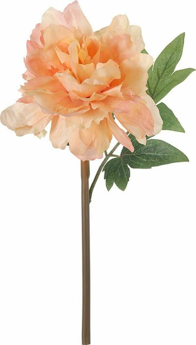 Декоративный цветок Пион нежно-розового цвета