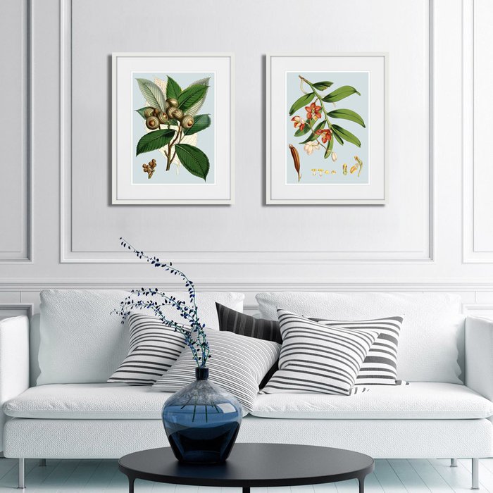 Набор из двух картин Himalaya Plants White And Orangered Flowers