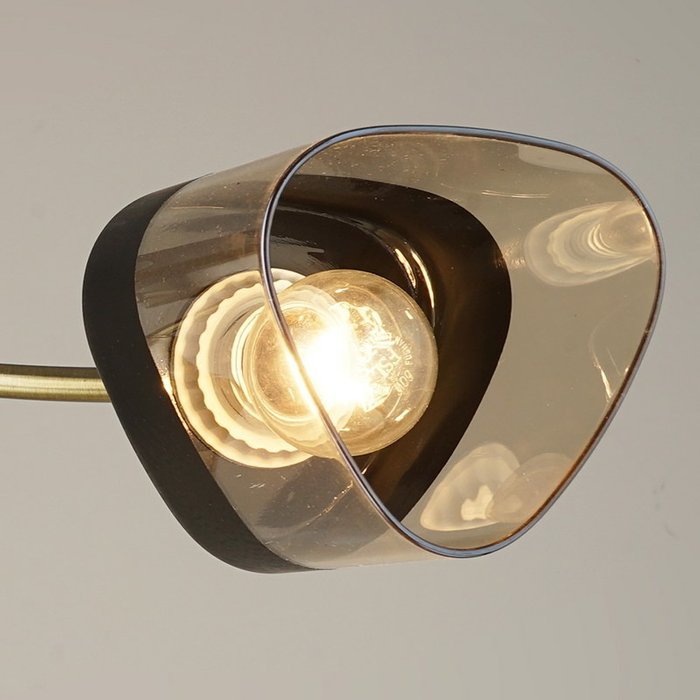 Потолочная люстра 04153-0.3-05 (стекло, цвет коричневый) - купить Потолочные люстры по цене 4870.0