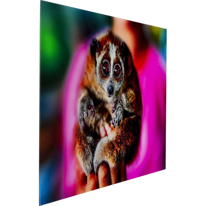 Картина Lemur, коллекция Лемур - купить Принты по цене 16177.0