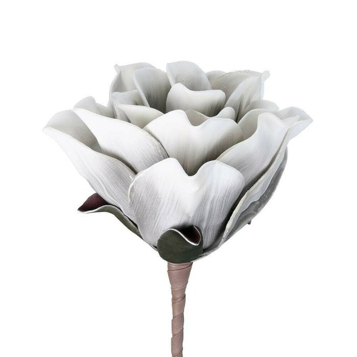 Искусственное растение Molave белого цвета - купить Декоративные цветы по цене 1990.0