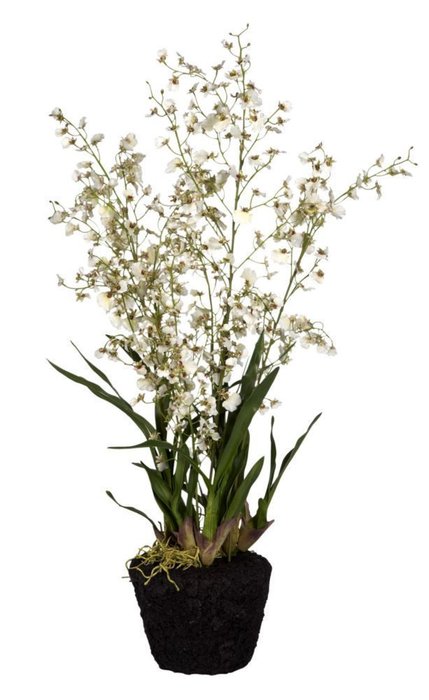 Декор Oncidium Orchid