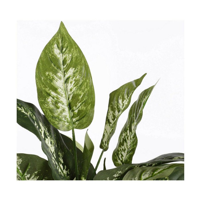 Декоративное растение Dieffenbachia Dieffenbachia Зеленый PVC (15,7 x 70 cm) - лучшие Декоративные цветы в INMYROOM