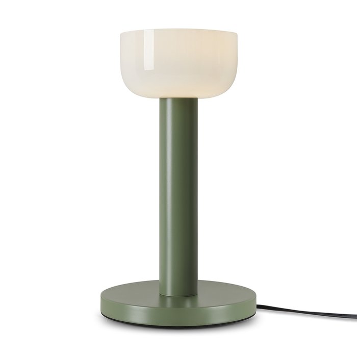 Настольный светильник Freya FR6185TL-L5GN Barries LED