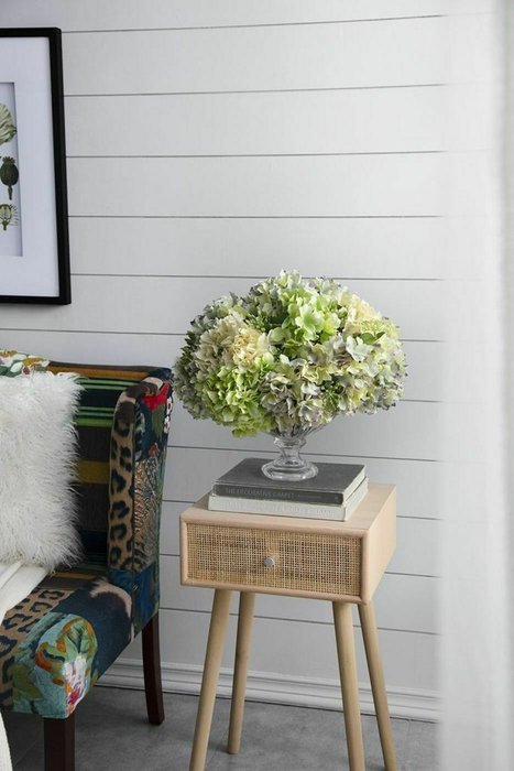 Растение декоративное Гортензия бело-серого цвета - лучшие Декоративные цветы в INMYROOM