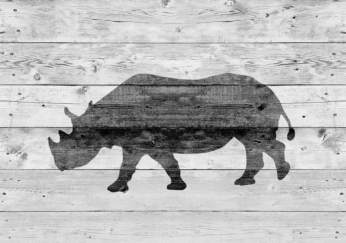 Картина (репродукция, постер): Носорог 