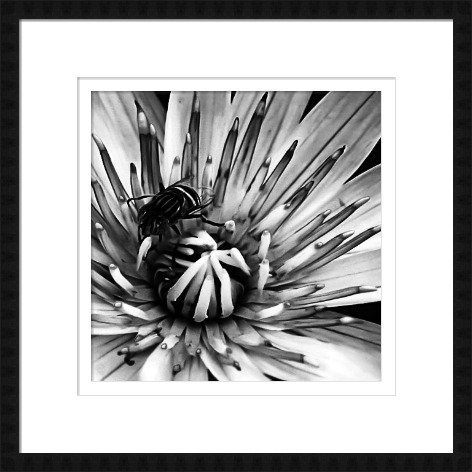 Постер Soft Sharpness