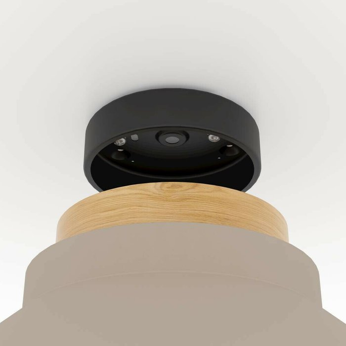 Светильник потолочный Eglo Moharras 900736 - лучшие Потолочные светильники в INMYROOM