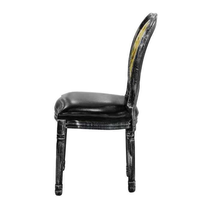 Стул Птицы черного цвета - лучшие Обеденные стулья в INMYROOM