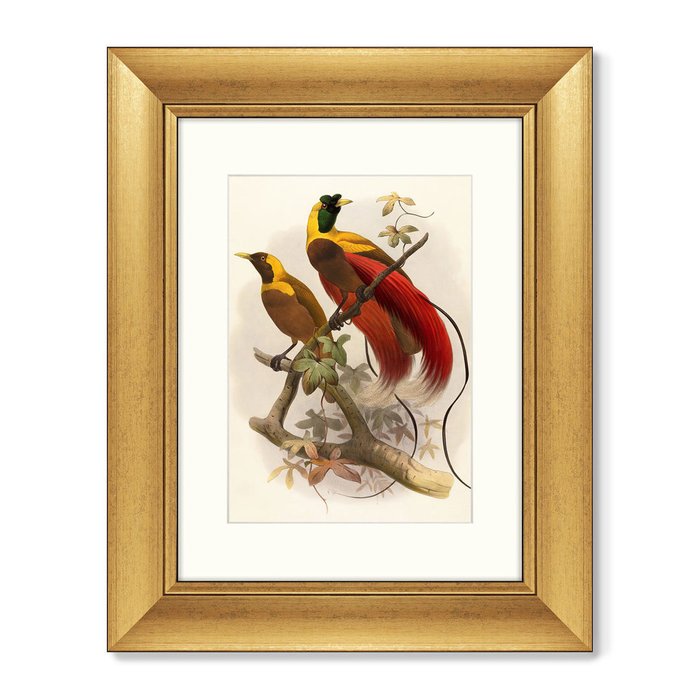 Картина Красная райская птица 1880 г.   - купить Картины по цене 8199.0