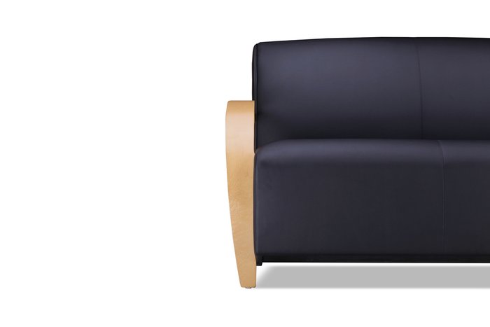 Прямой диван Паладин Комфорт черного цвета - купить Прямые диваны по цене 55610.0
