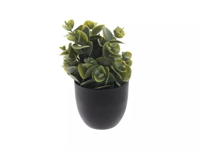 Цветок искусственный Зелень в черном горшке - лучшие Декоративные цветы в INMYROOM