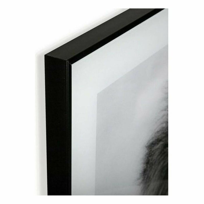 Картина Лев Стеклянный 2 x 50 x 50 cm - лучшие Картины в INMYROOM
