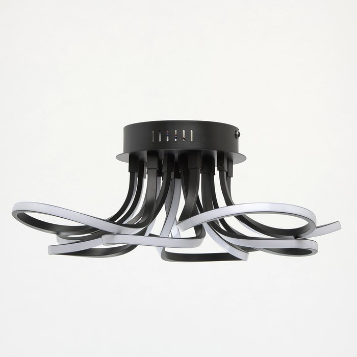 Потолочный светодиодный светильник  Аурих с черным основанием - лучшие Потолочные светильники в INMYROOM