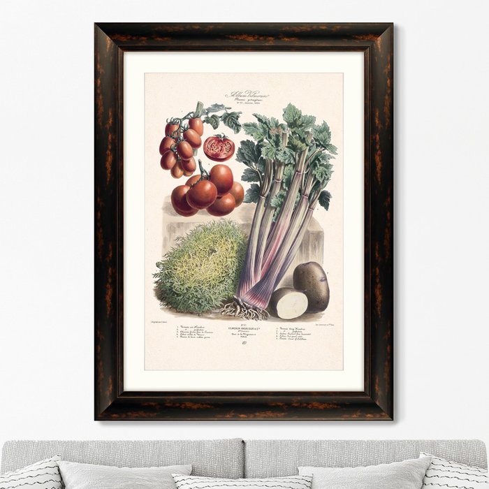 Картина Vilmorin Andrieux & Cie Альбом №37 1886 г. Картина Vilmorin Andrieux & Cie Альбом №37 1886 г.