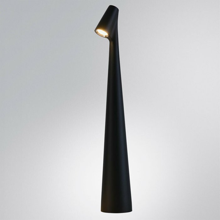 Декоративная настольная лампа Arte Lamp FUSION A3283LT-2BK - купить Настольные лампы по цене 6600.0