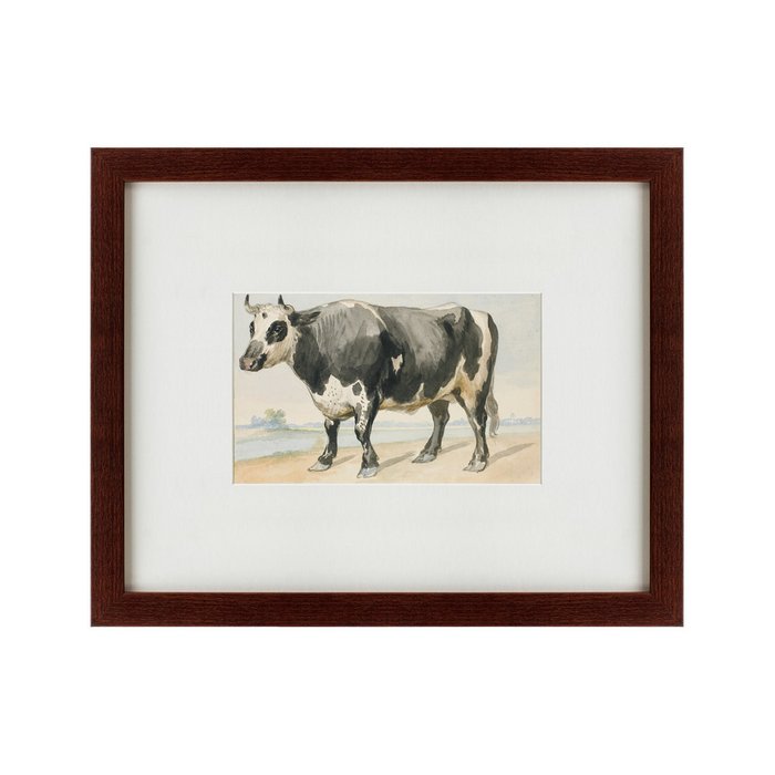 Картина A Friesian bull 1780 г. - купить Картины по цене 4990.0