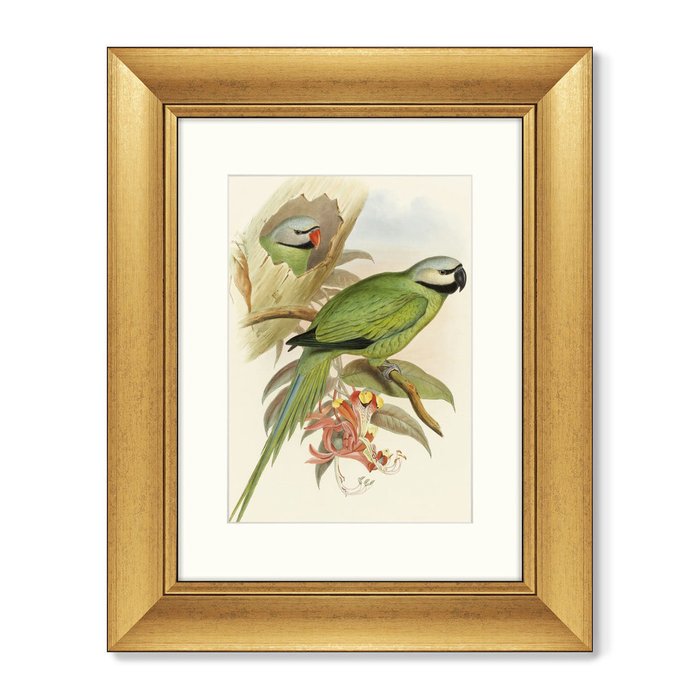 Репродукция картины Love parrots II 1851 г. - купить Картины по цене 8199.0