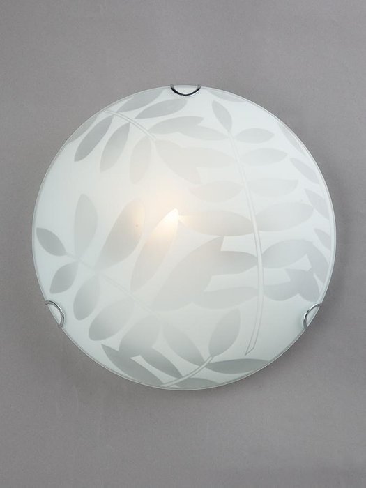 Настенно-потолочный светильник с плафоном из стекла - купить Бра и настенные светильники по цене 764.0