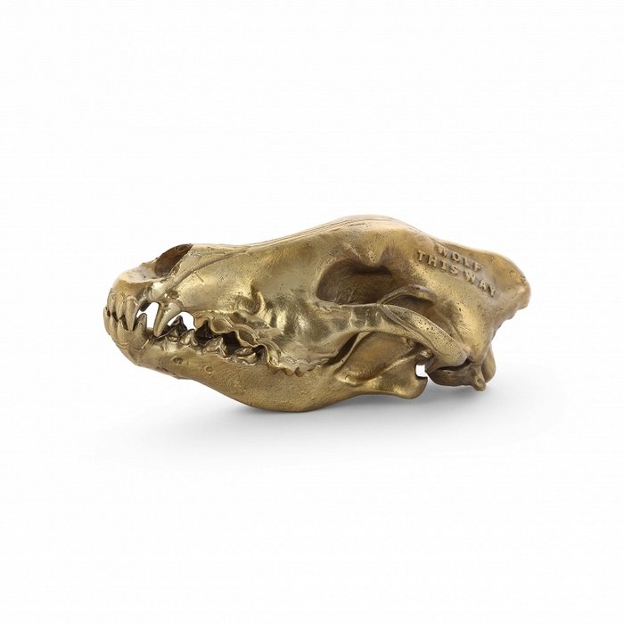 Настольная статуэтка Wolf Skull золотого цвета