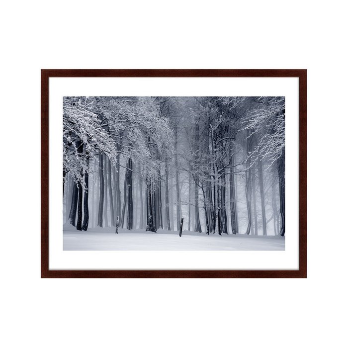 Картина Elegant Bare Tree in Colorado - купить Картины по цене 12999.0