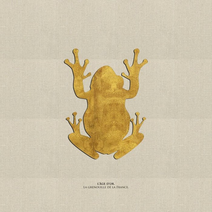 Картина (репродукция, постер): Французская лягушка