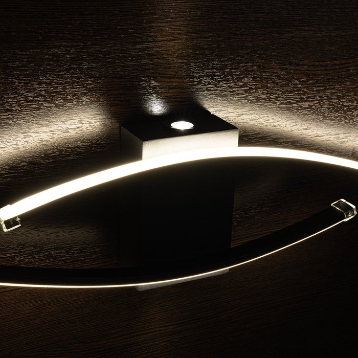 Настенный светильник Arte Lamp ALUDRA A2216AP-1BK - лучшие Бра и настенные светильники в INMYROOM