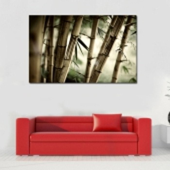 Дизайнерская картина на холсте: Стебли бамбука