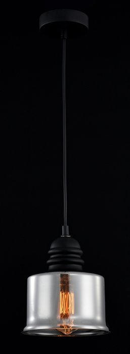 Подвесной светильник Maytoni "Danas" - купить Подвесные светильники по цене 2510.0