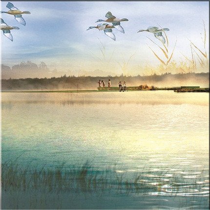 Декоративная картина "Утренний пруд" - лучшие Принты в INMYROOM