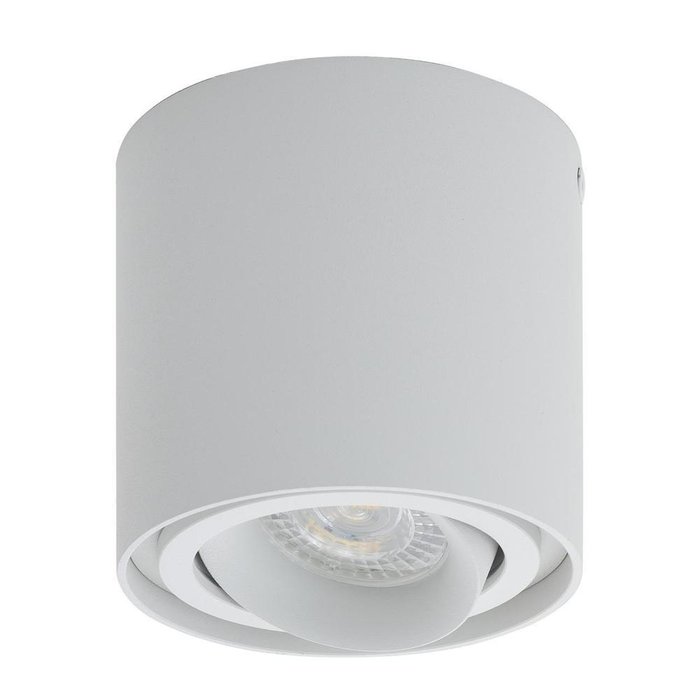 Потолочный светильник белого цвета - купить Потолочные светильники по цене 3594.0