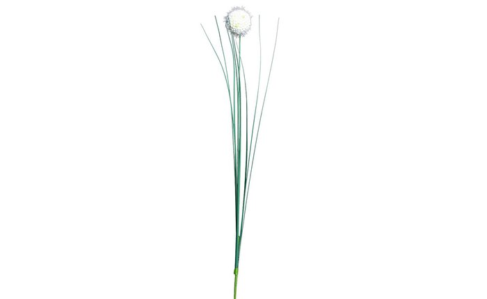 Искусственный цветок Алиум кремового цвета - купить Декоративные цветы по цене 60.0