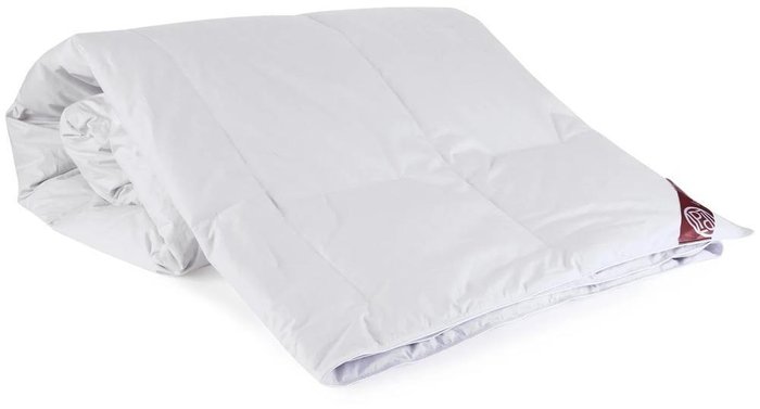 Пуховое одеяло Камилла 200х220 белого цвета