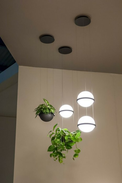 Подвесной светильник PALMA Pendant вазон - лучшие Подвесные светильники в INMYROOM
