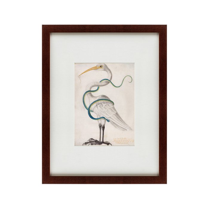 Картина Heron encircled by a snake 1700 г. - купить Картины по цене 5995.0